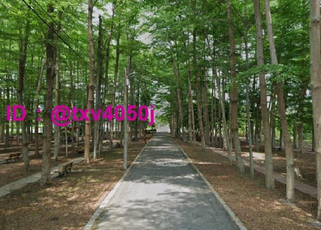 台南善化透天-2