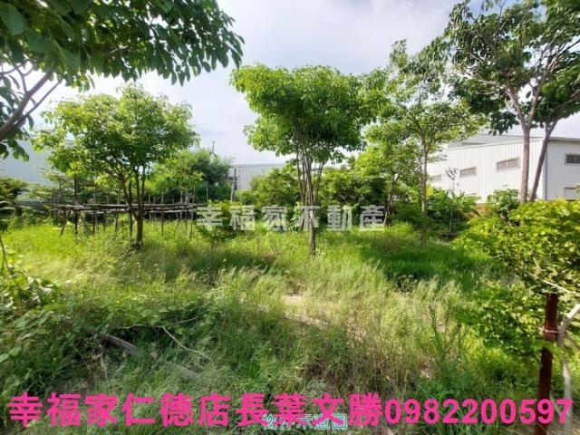 台南仁德廠房-8