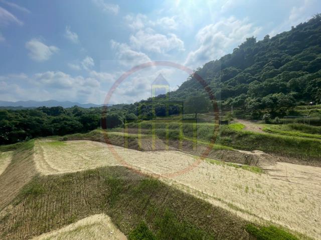 台南楠西農舍-10