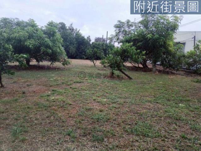 台南歸仁農舍-1