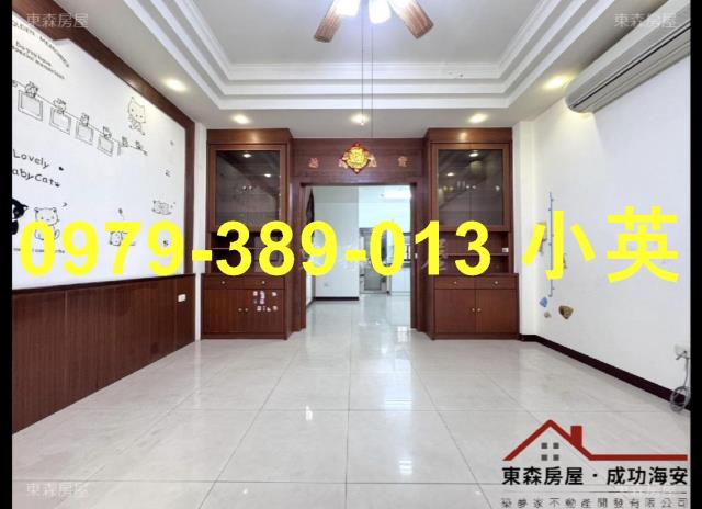 台南善化透天-0