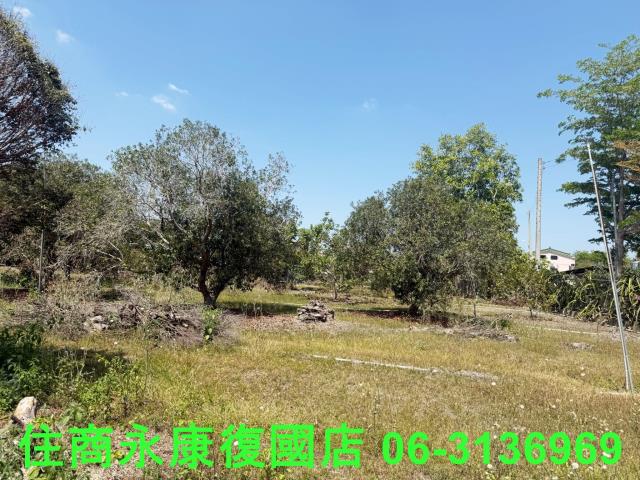 台南玉井農舍-8