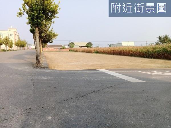 台南安定農地-0