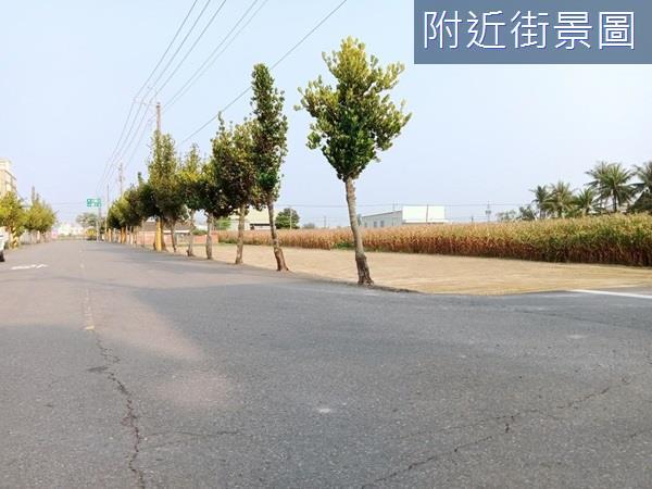 台南安定農地-5