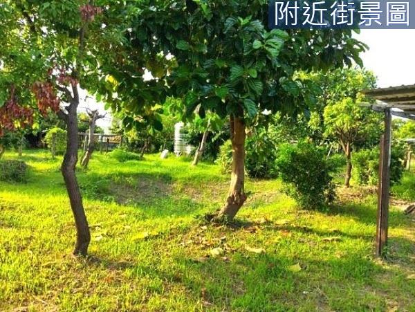 台南安南農地-9