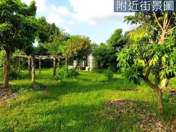 台南安南農地-0