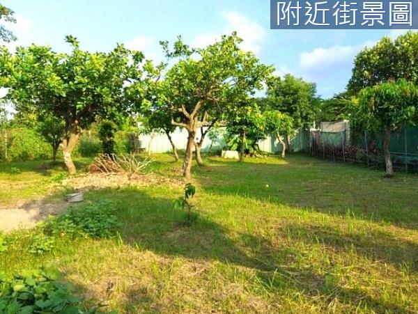 台南安南農地-1