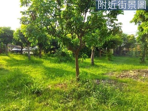 台南安南農地-6