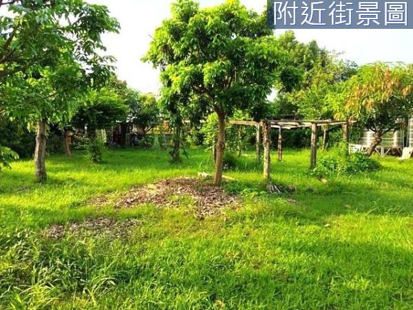 台南安南農地-7