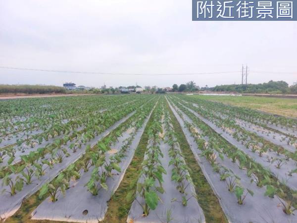 台南新市農地-3