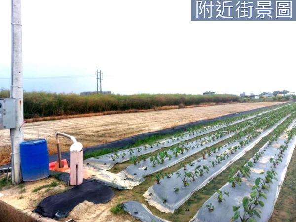 台南新市農地-6