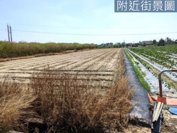 台南新市農地-7