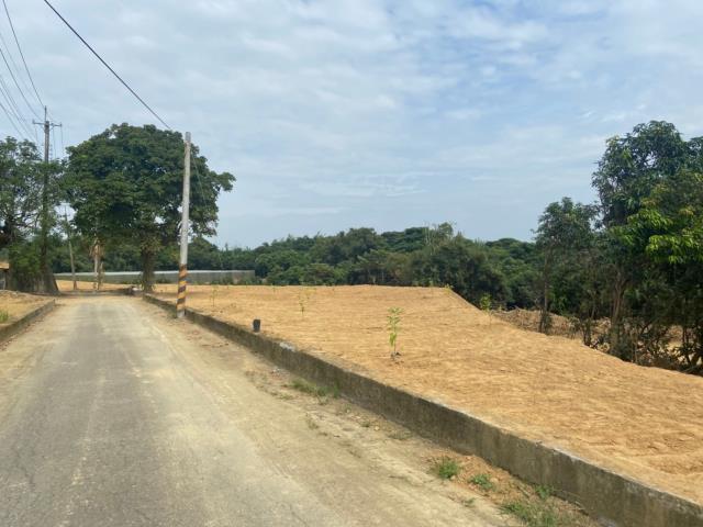 台南大內農地-1