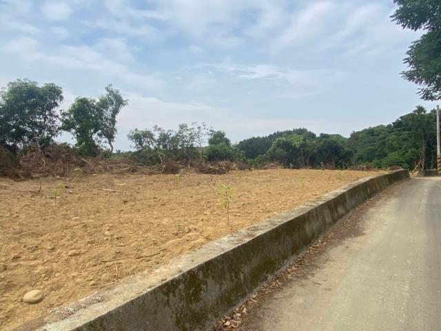 台南大內農地-0