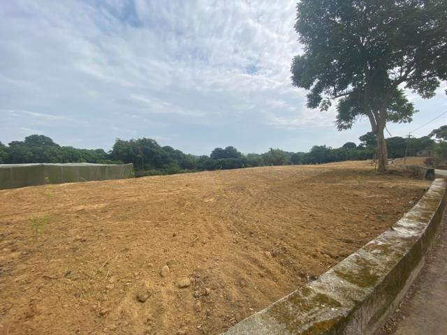 台南大內農地-8