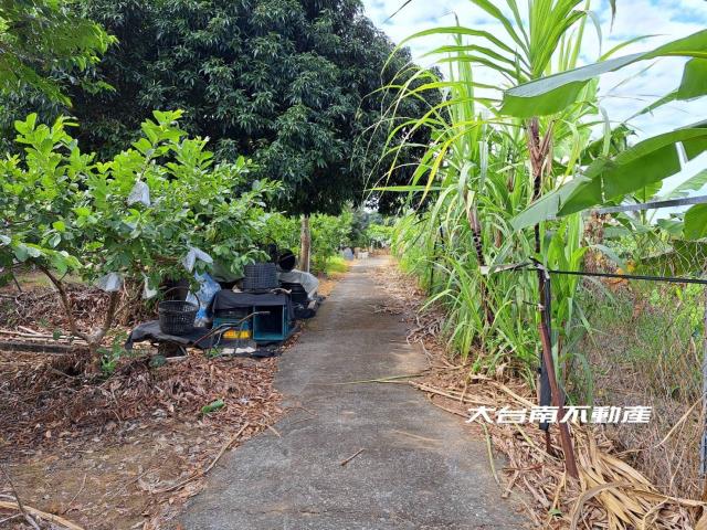 台南農地-9