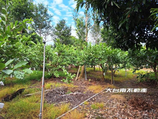 台南農地-13