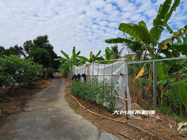台南農地-5