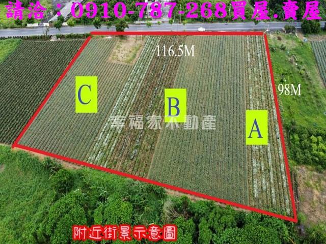 台南山上農地-2