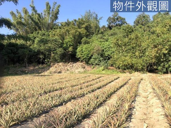 台南關廟農地-0