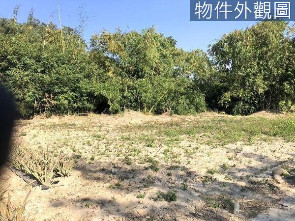 台南關廟農地-1