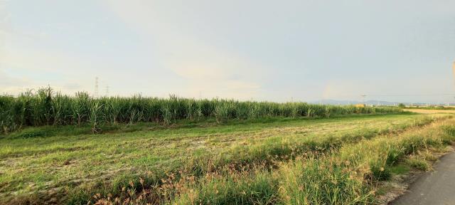 台南農地-2