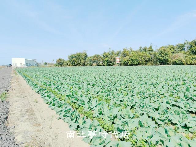 台南仁德農地-1