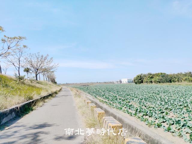 台南仁德農地-4