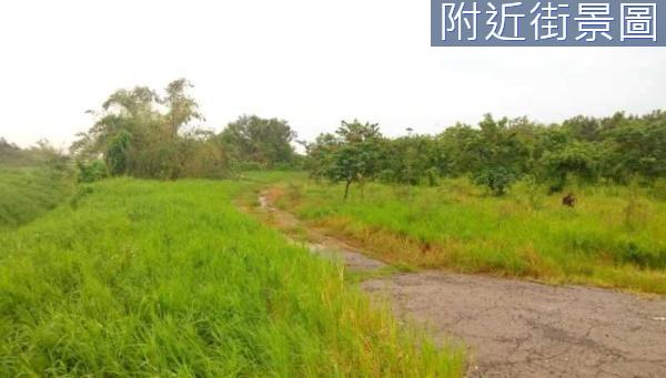 台南歸仁農地-1