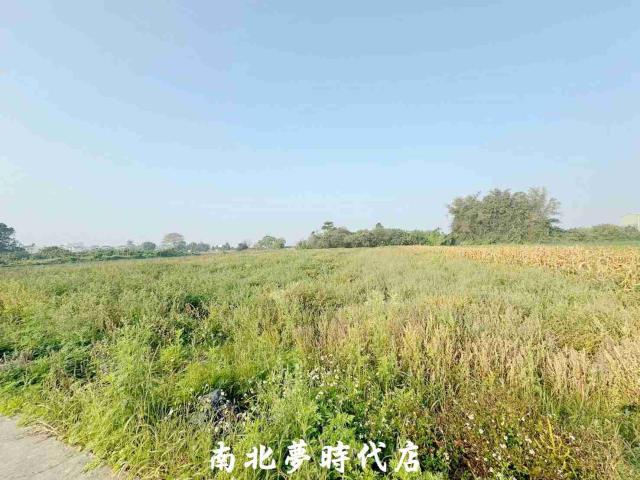 台南新化農地-6