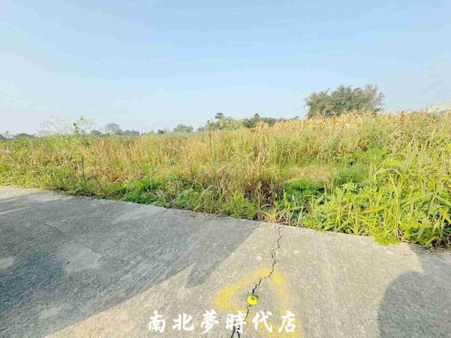 台南新化農地-7