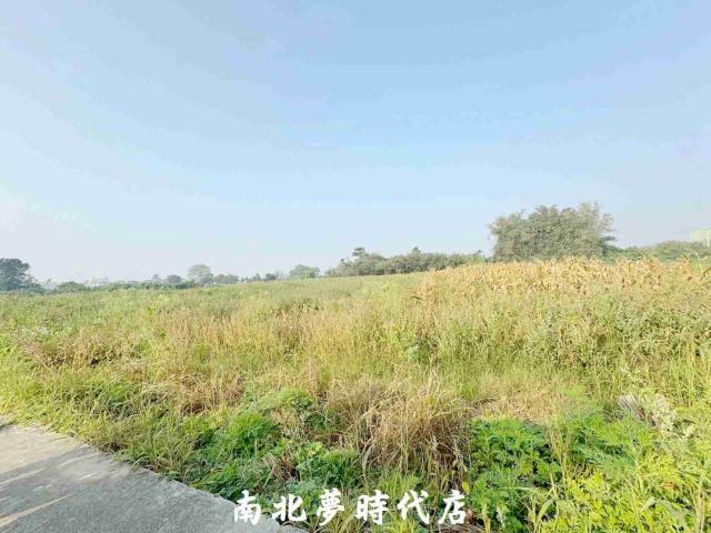 台南新化農地-8