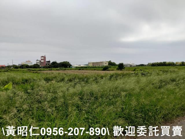 台南七股農地-4