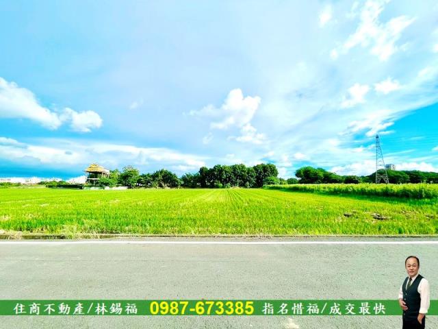 台南善化農地-5