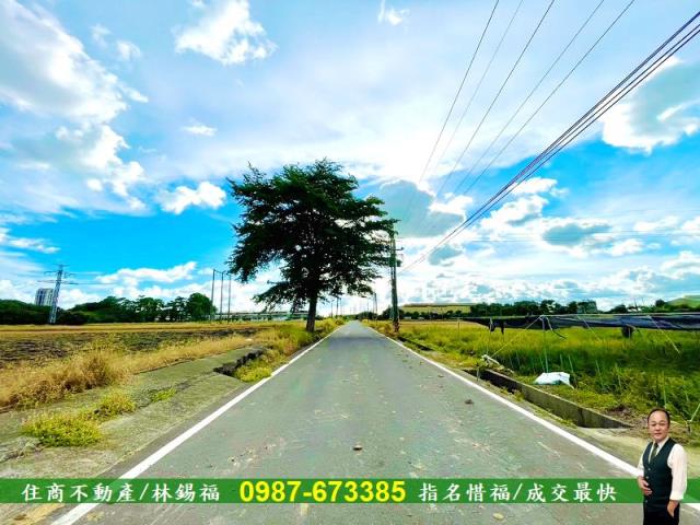 台南善化農地-6
