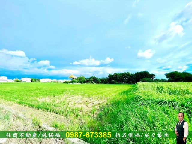 台南善化農地-7