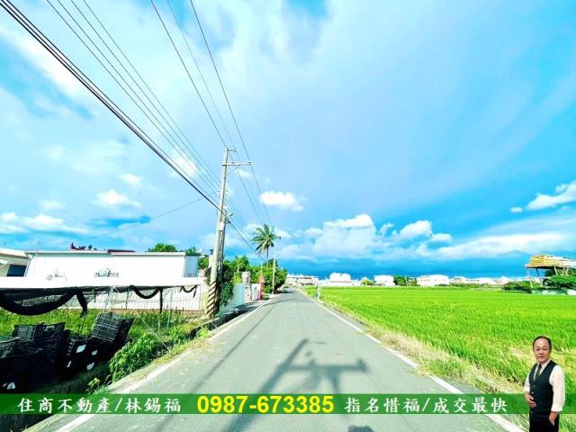 台南善化農地-8