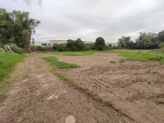 台南善化農地-0