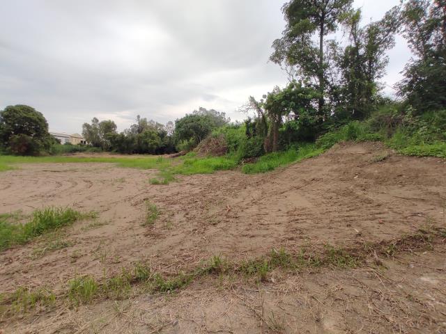 台南善化農地-2