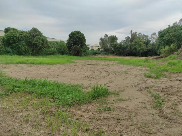 台南善化農地-4