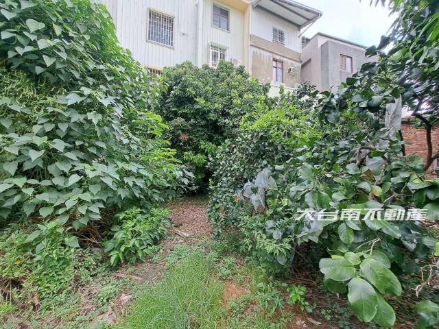 台南麻豆建地-10