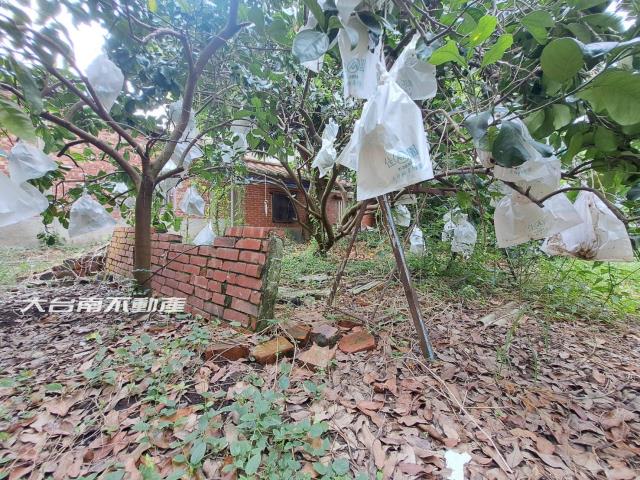 台南麻豆建地-4