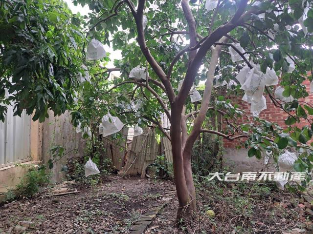 台南麻豆建地-8