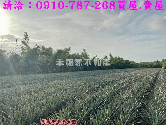 關廟農地-5