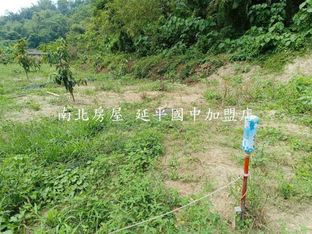 台南龍崎農地-10