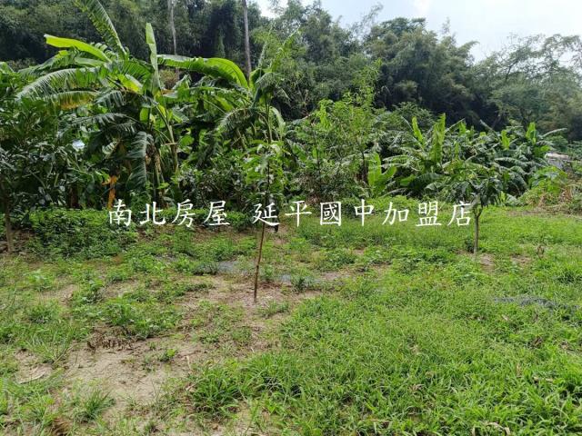 台南龍崎農地-12