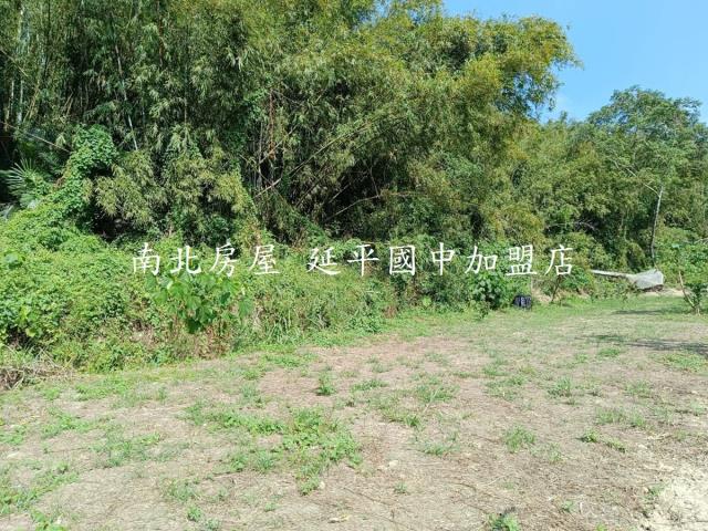 台南龍崎農地-13