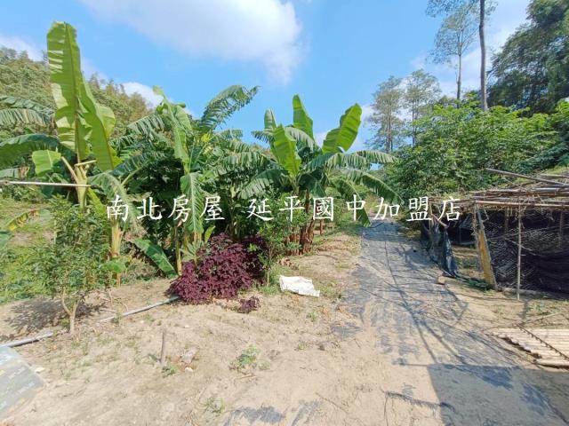 台南龍崎農地-0