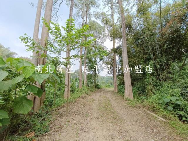 台南龍崎農地-5