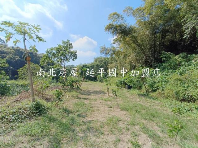 台南龍崎農地-6